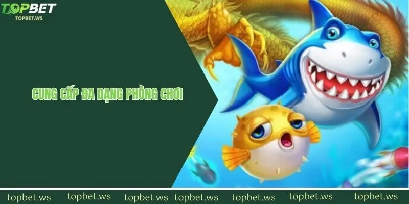 Thần Rồng Fishing cung cấp đa dạng phòng chơi đặc sắc