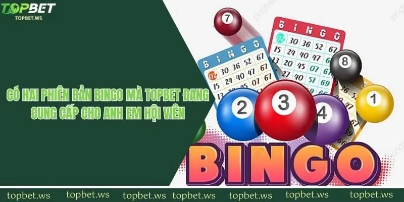 Có hai phiên bản bingo mà Topbet đang cung cấp cho anh em hội viên
