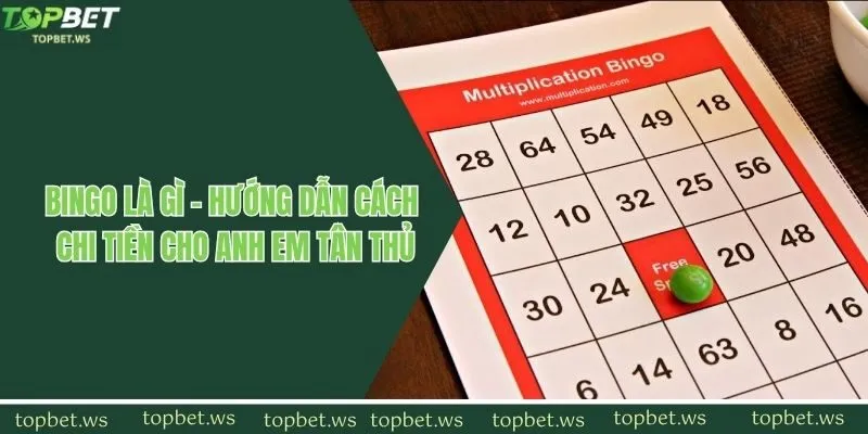 Bingo Là Gì - Hướng Dẫn Cách Chi Tiền Cho Anh Em Tân Thủ