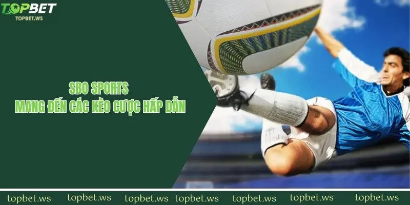 Hội viên tham gia tại SBO với những kèo cược hấp dẫn