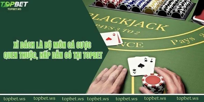 Xì dách là bộ môn cá cược quen thuộc, hấp dẫn có tại Topbet